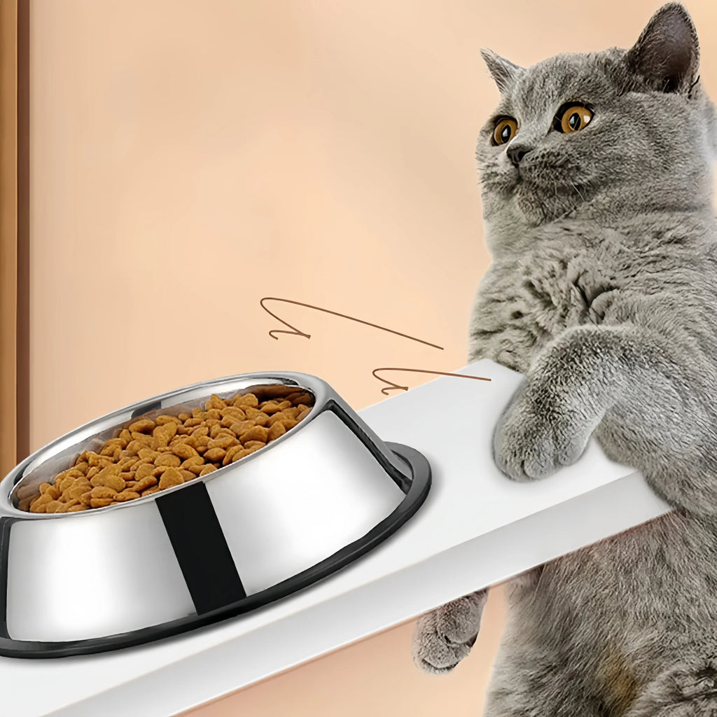 Pet Dog Cat Stainless Steel Bowl Pet Feeding Bowl Cat and Dog Drinking Bowl Metal Feeder Bowl Durable Easy to Clean Pet Supplies